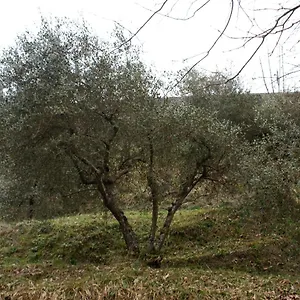 Tradizione Toscana Ristrutturata Nel 2021 , Barga Italia
